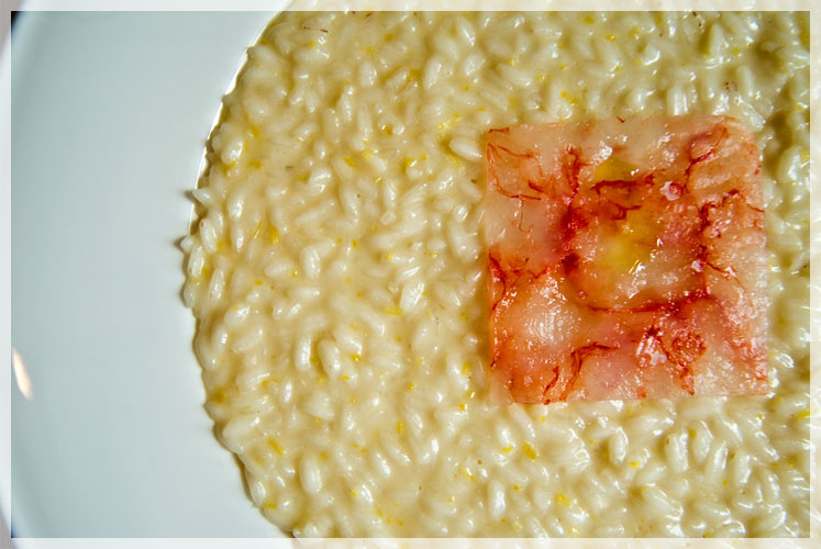 Ricetta Risotto ai gamberi dello Chef Antonino Cannavacciuolo Ristorante Villa&nbsp;Crespi
